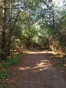 Family Hikes in Big Foot Beach State Park in Lake Geneva. Located right outside of Downtown Lake Geneva is a beautiful state park to hike, picnic and enjoy a family day out.