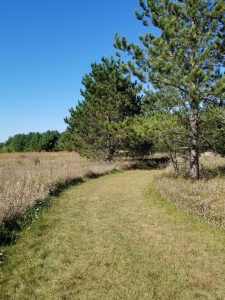 Prairie Hikes through Big Foot Beach State Park in Lake Geneva Wisconsin. A fun and easy family hike close to downtown Lake Geneva.