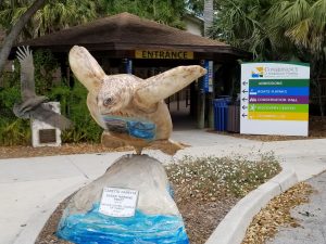 The Naples Conservancy is a great Naples Fl attraction. A fun thing to do with families while visiting Naples.