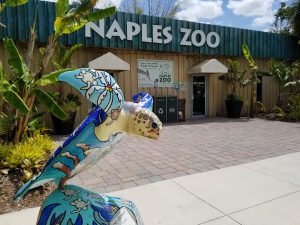 Naples Zoo is a favorite Naples Florida Attractions that can't be missed. Families will love seeing all the animals from monkeys to crocodiles. Find out what you can't miss.