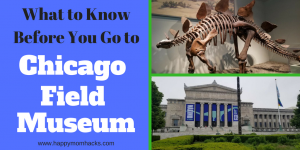 12 tips to the Chicago Field Museum with kids. Enjoy this great Chicago attraction by knowing which exhibits to visit, where to eat, park and more. # familyvacation, #taveltips, #museums, #chicago