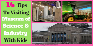 Tips for Chicago Museum of Science and Industry