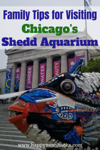 Tips for a Day at the Shedd Aquarium Chicago with Kids. Things to do, where to eat, park, and free days. Families will love visiting Dolphins, Beluga Whales, Penguins and fish. #sheddaquarium, #chicagoattractions, #traveltips,