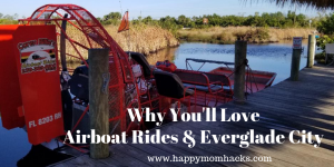 Best Airboat Rides in Florida Everglades. Plus best things to do in Everglade City Florida.