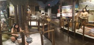 Free Things to Do in Marco Island Florida - visit Marco Island Museum, Beaches and local parks. #free #marcoisland #florida