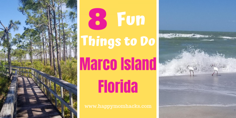Best Things to Do in Marco Island Florida with Kids. Find tips and ideas for the best attractions to see. Fun day trips to Naples and southwest Florida. Visit beautiful beaches, nature preserves, museums and more. #marcoisland #familyvacation #traveltips #naples #southwestflorida