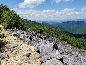 Hiking Paths in Shenandoah National Park. What to see and do while visiting this beautiful National Park with Kids.