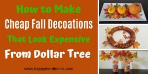 10 Cool DIY Fall Decorations ideas from Dollar Tree. You'll love these cheap & easy crafts for Thanksgiving and Halloween. Save money while making your house look cute for the Holidays. #fall #decorations #thanksgiving #halloween #falldecor #dollartree