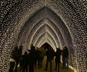 Beautiful Holiday Light Display at Chicago Botanical Gardens called Light Scape. A fun outside walk through the gardens filled with twinkling lights and fun Christmas displays. #holidaylights #christmaslights #botanicalgardens.