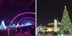 Chicago Holiday Light Displays at the Brookfield Zoo