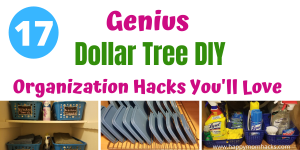 17 Clever Home Organization Hacks from Dollar Tree. Easy DIY Ideas to declutter & organize your closets, kitchen, bathrooms and more. Check out these cool hacks and get started today! #decluttering #organization #homeorganization #dollartree #dollarstore