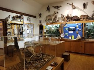 Add visiting a nature center to your kids summer bucket list. Your whole family will enjoy exploring the exhibits and small animals.