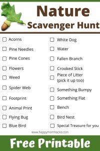 Plan a Nature Scavenger Hunt with this free printable checklist. Keep kids engaged on a hike finding all the items on the list.