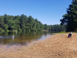 Mirror Lake State Park in Wisconsin Dells is a perfect for hiking, swimming, boating and fishing with kids. #wisconsin #wisconsindells