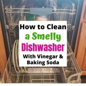 How to Clean a Smelly Dishwasher in 4 Easy Steps with Vinegar & Baking Soda.