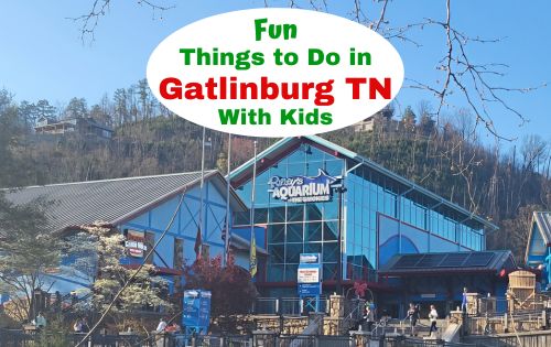 The top attractions for familes in downtown Gatlinburg. All the fun things to do in Gatlinburg with kids.